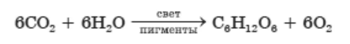 Решение номер 2 (страница 52) гдз по биологии 11 класс Дашков, Головач, рабочая тетрадь