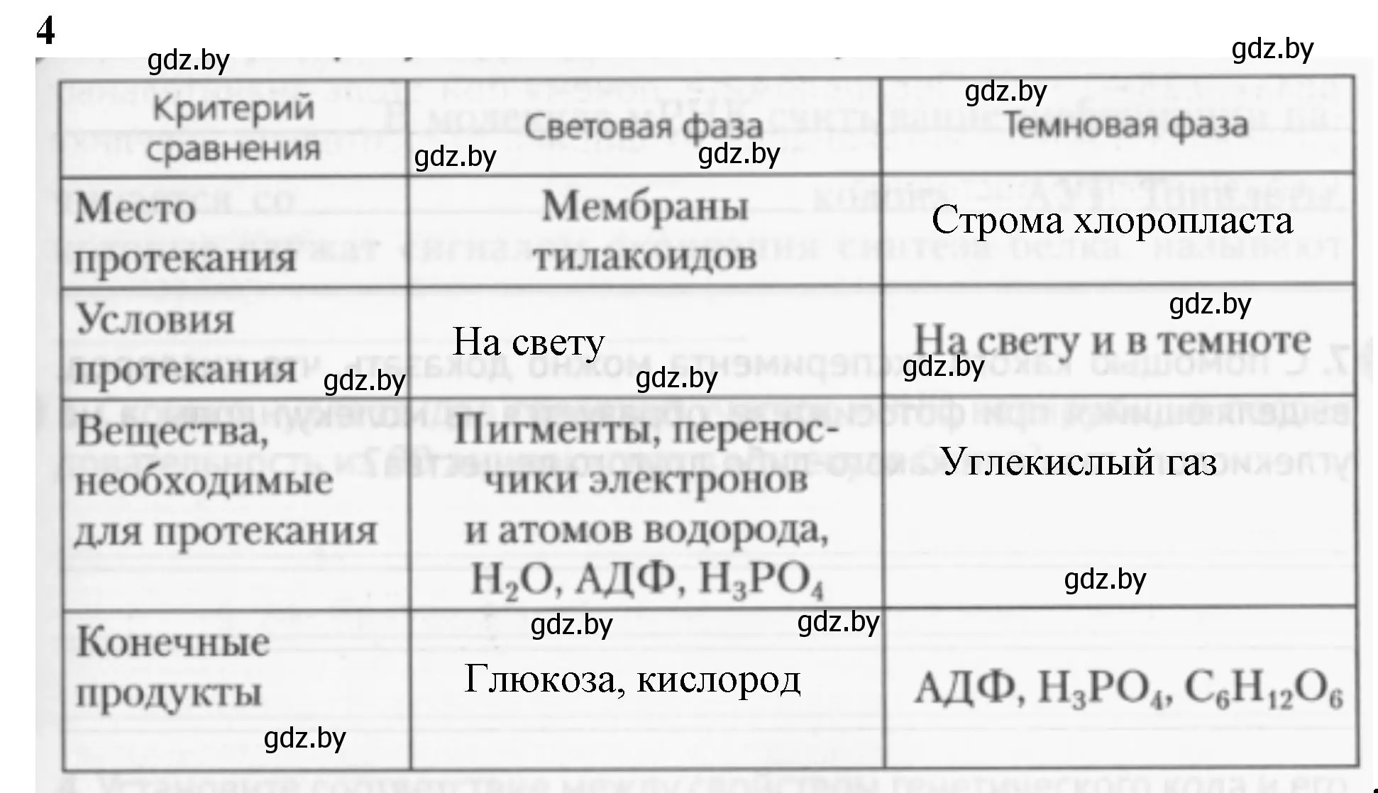 Решение номер 4 (страница 53) гдз по биологии 11 класс Дашков, Головач, рабочая тетрадь