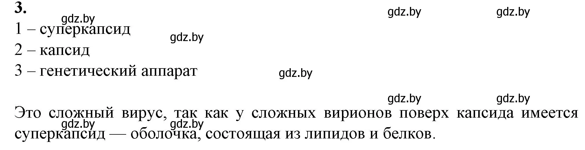 Решение номер 3 (страница 60) гдз по биологии 11 класс Дашков, Головач, рабочая тетрадь