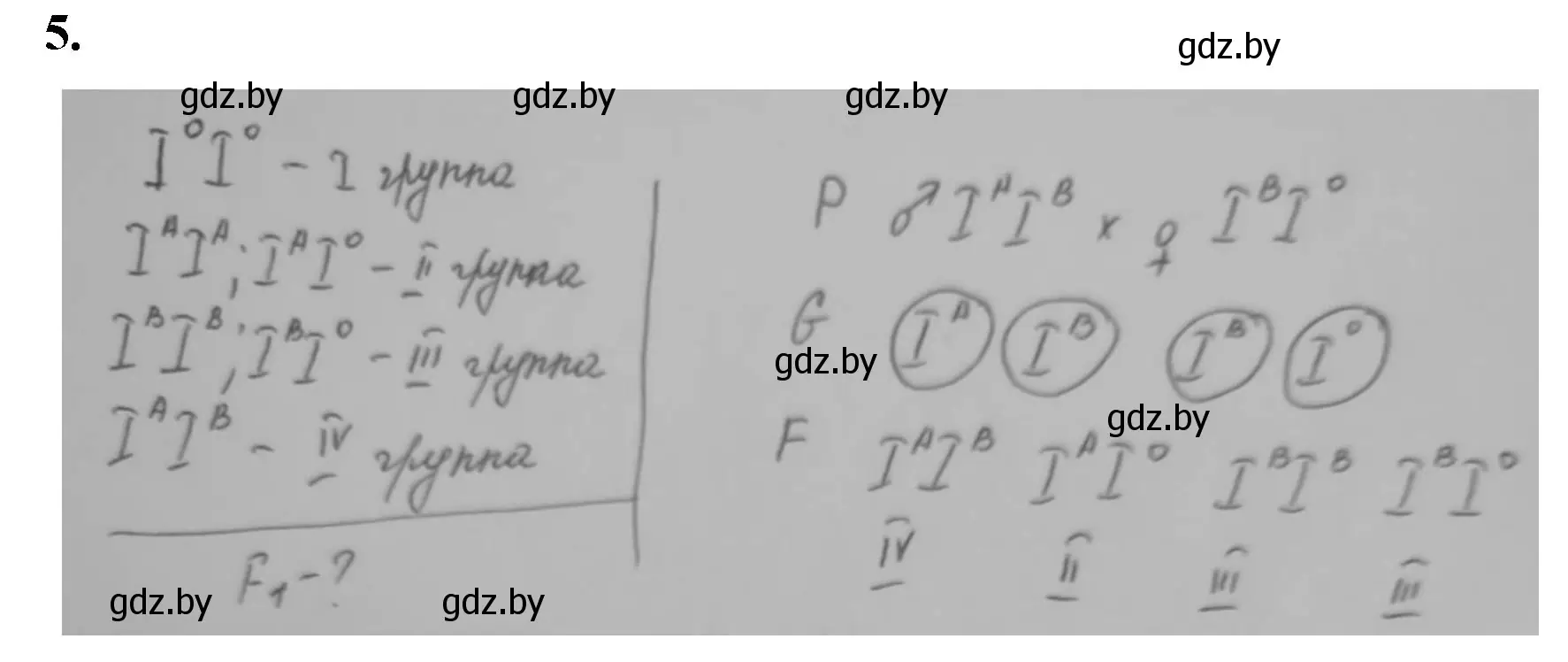 Решение номер 5 (страница 77) гдз по биологии 11 класс Дашков, Головач, рабочая тетрадь