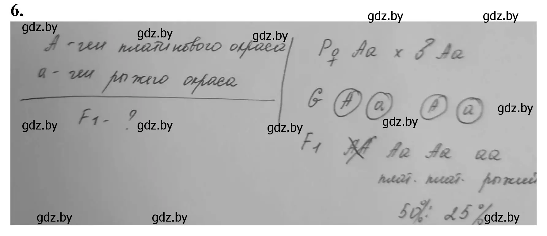 Решение номер 6 (страница 77) гдз по биологии 11 класс Дашков, Головач, рабочая тетрадь