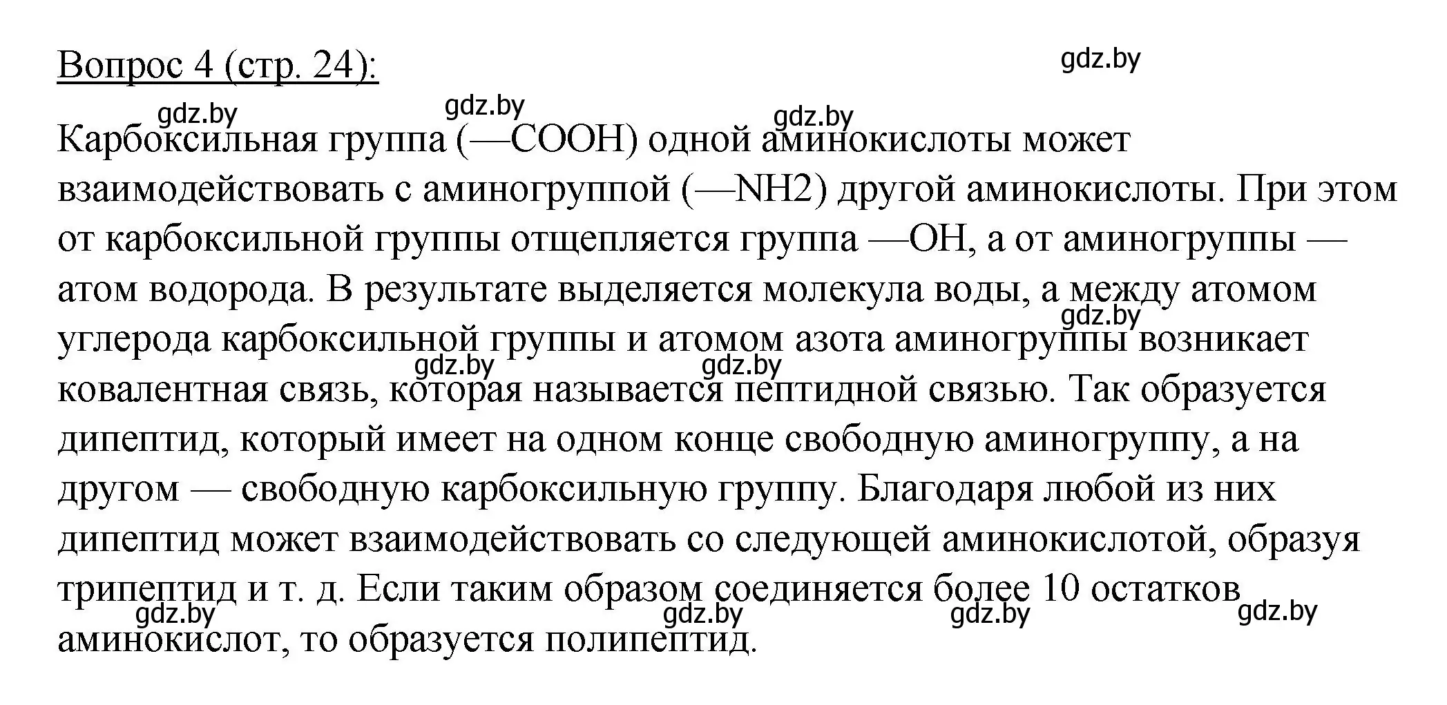 Решение номер 4 (страница 24) гдз по биологии 11 класс Дашков, Песнякевич, учебник