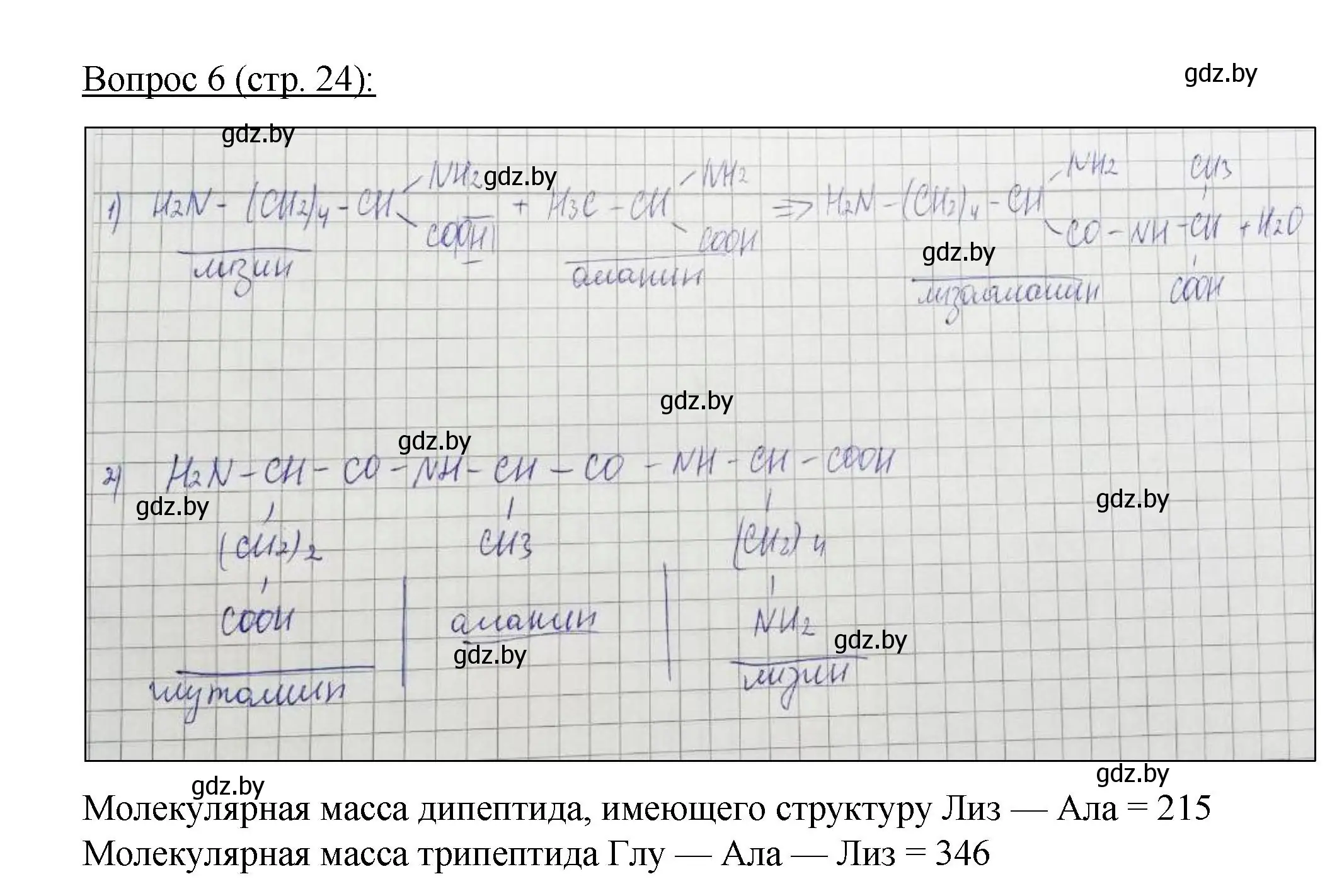 Решение номер 6 (страница 24) гдз по биологии 11 класс Дашков, Песнякевич, учебник