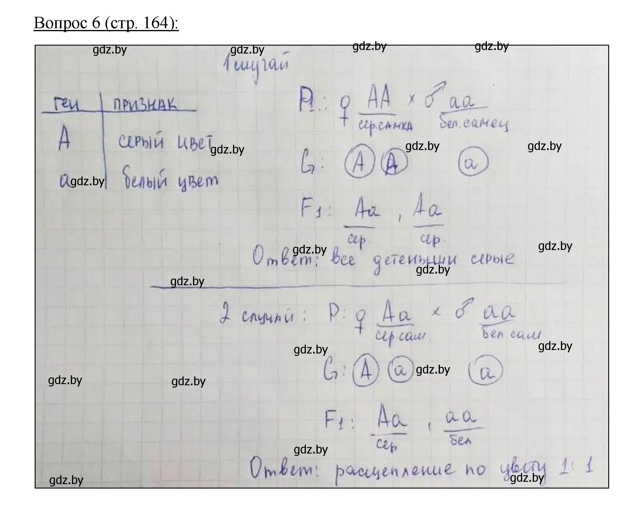Решение номер 6 (страница 164) гдз по биологии 11 класс Дашков, Песнякевич, учебник