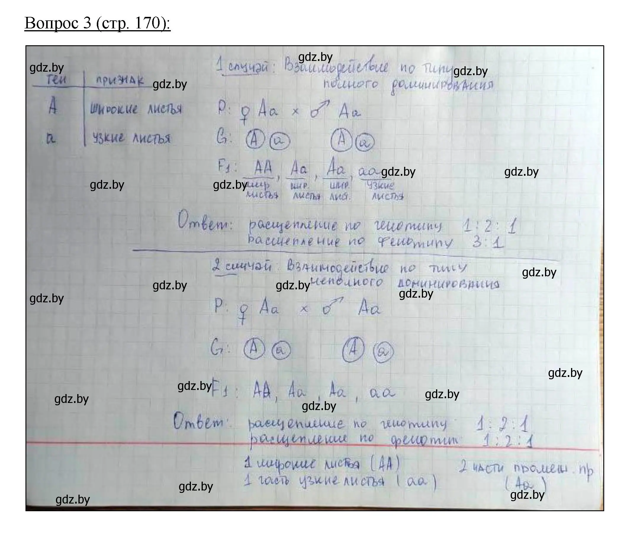 Решение номер 3 (страница 170) гдз по биологии 11 класс Дашков, Песнякевич, учебник