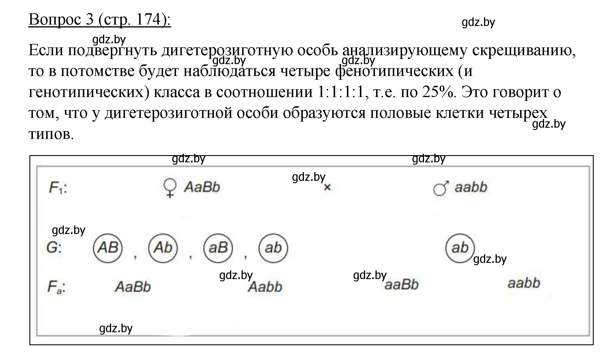 Решение номер 3 (страница 174) гдз по биологии 11 класс Дашков, Песнякевич, учебник