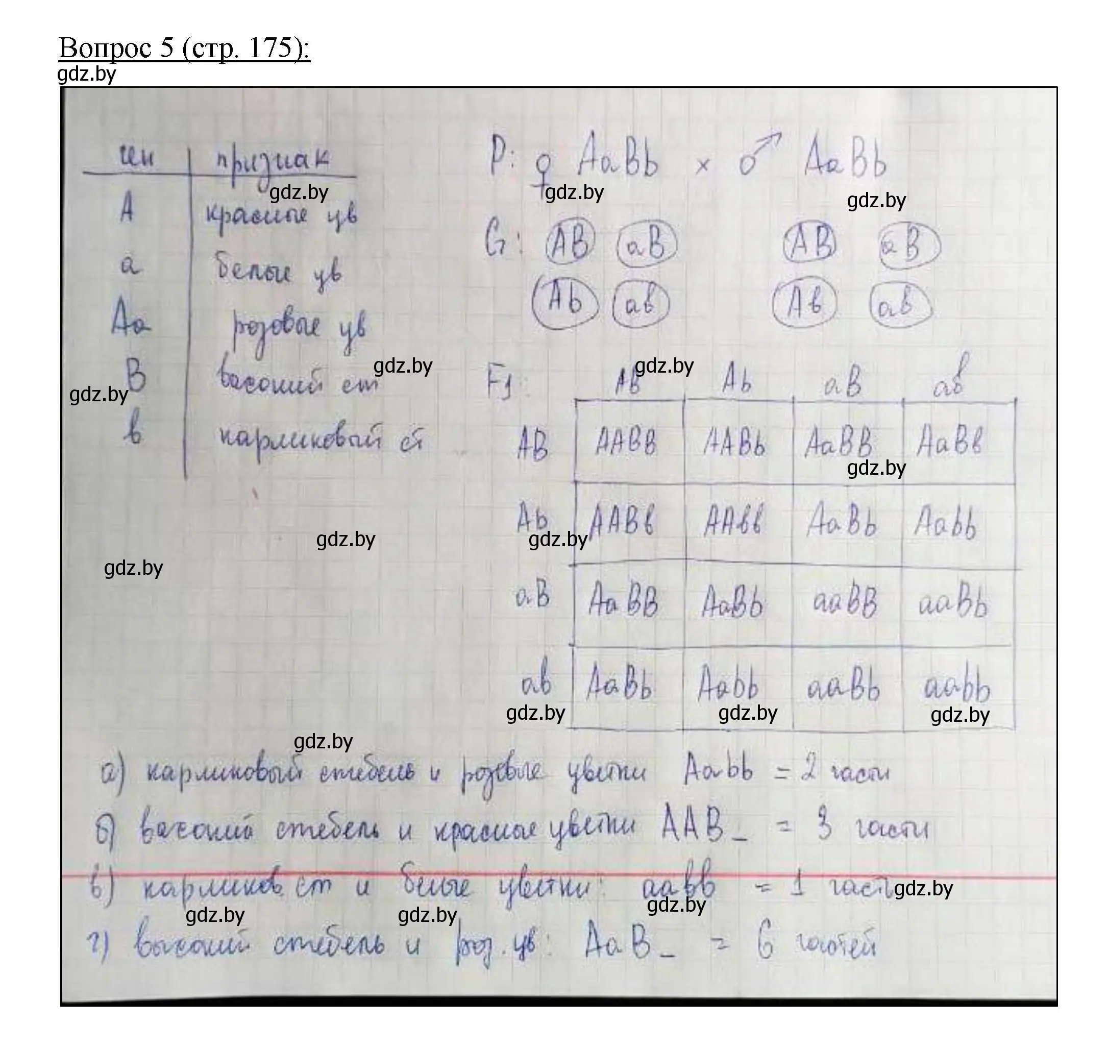 Решение номер 5 (страница 175) гдз по биологии 11 класс Дашков, Песнякевич, учебник