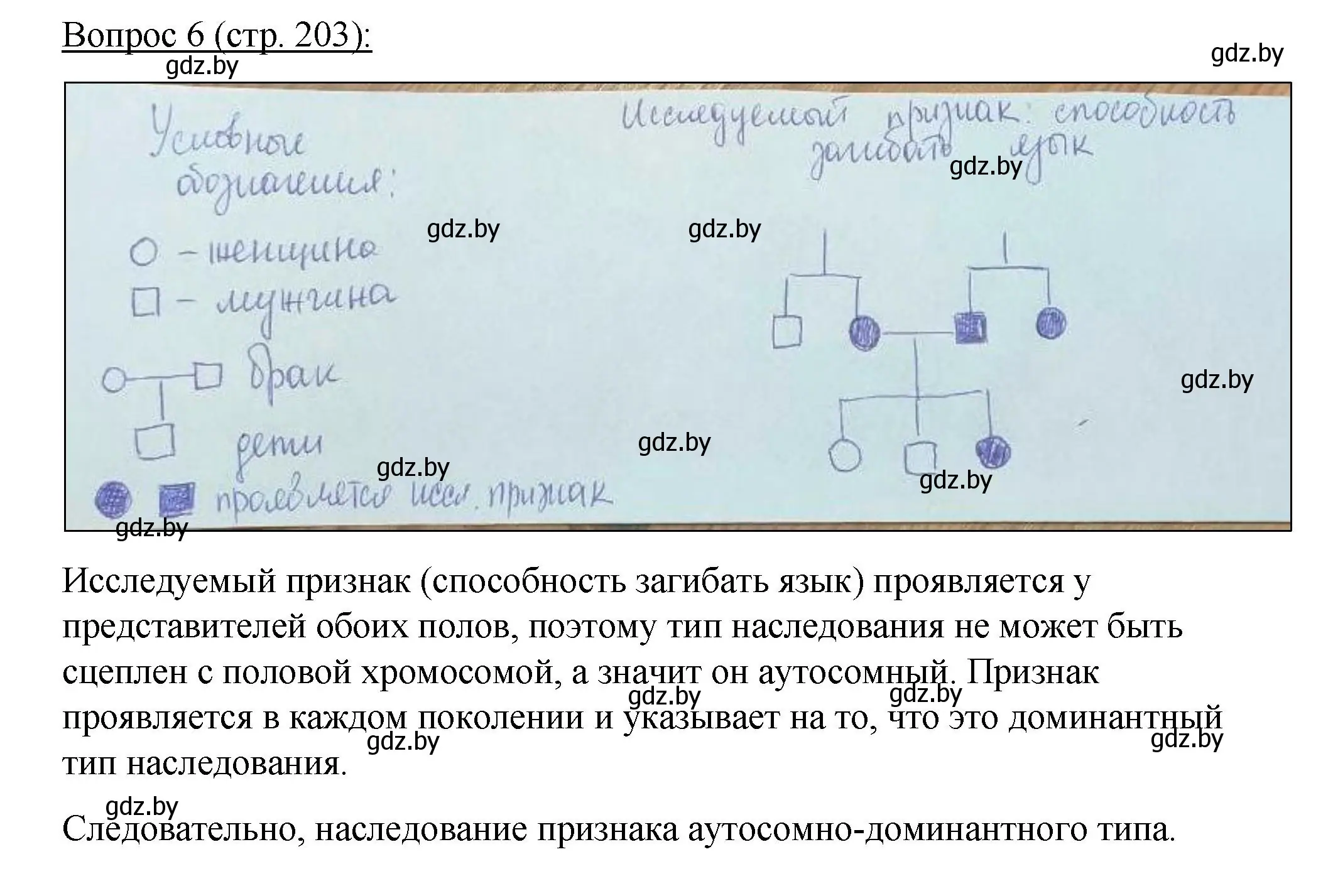 Решение номер 6 (страница 203) гдз по биологии 11 класс Дашков, Песнякевич, учебник