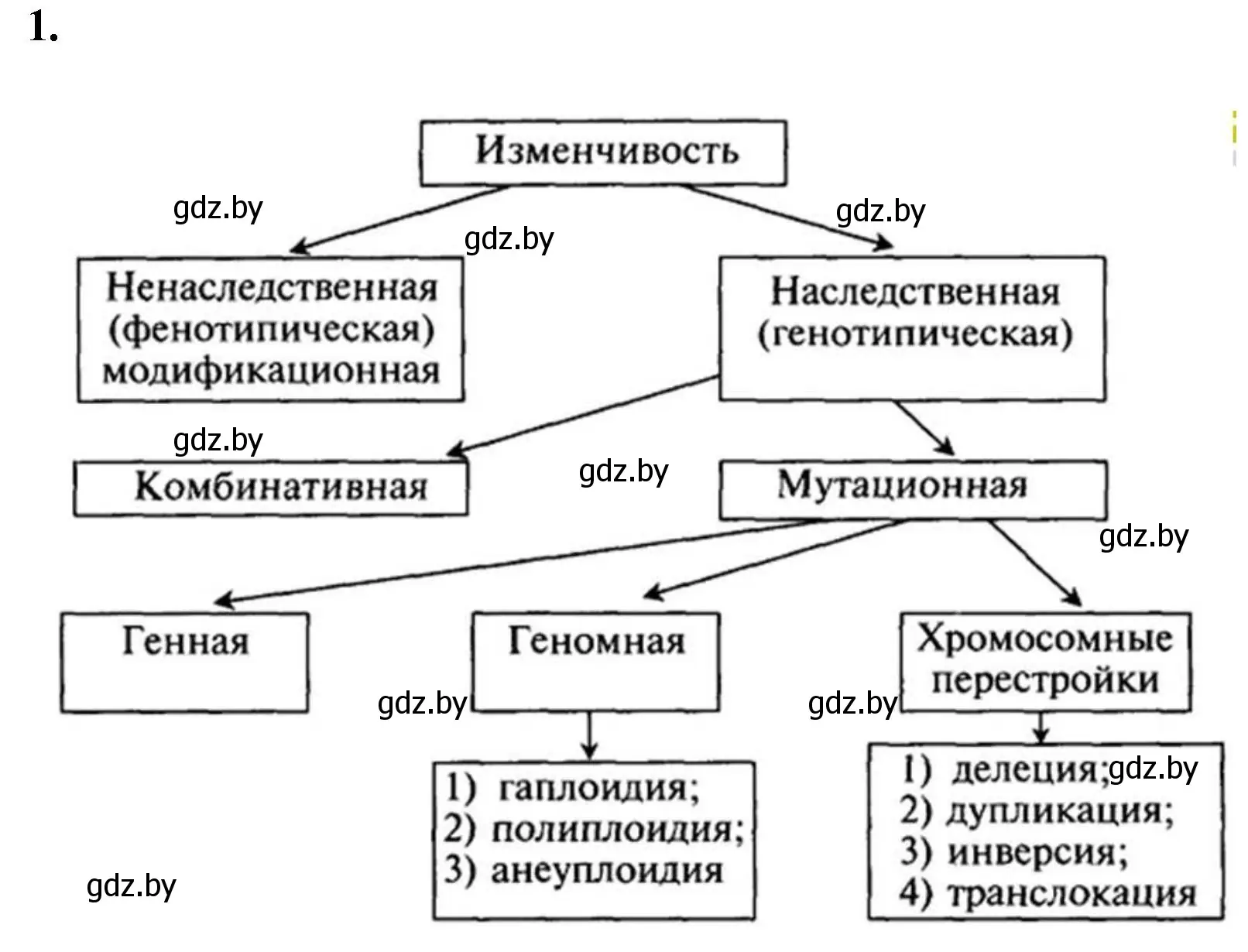 Решение номер 1 (страница 46) гдз по биологии 11 класс Хруцкая, тетрадь для практических работ