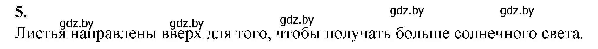 Решение номер 5 (страница 49) гдз по биологии 11 класс Хруцкая, тетрадь для практических работ