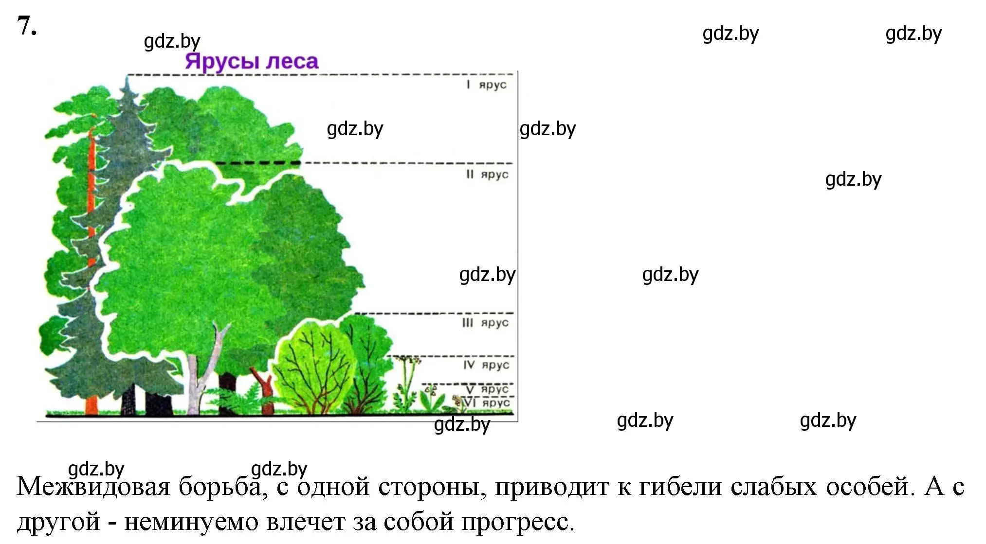 Решение номер 7 (страница 50) гдз по биологии 11 класс Хруцкая, тетрадь для практических работ