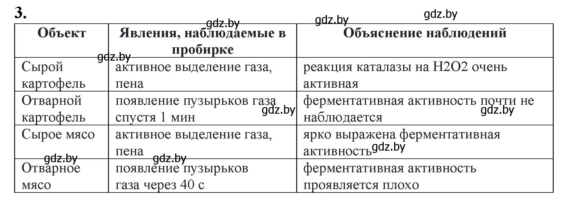 Решение номер 3 (страница 5) гдз по биологии 11 класс Хруцкая, тетрадь для практических работ