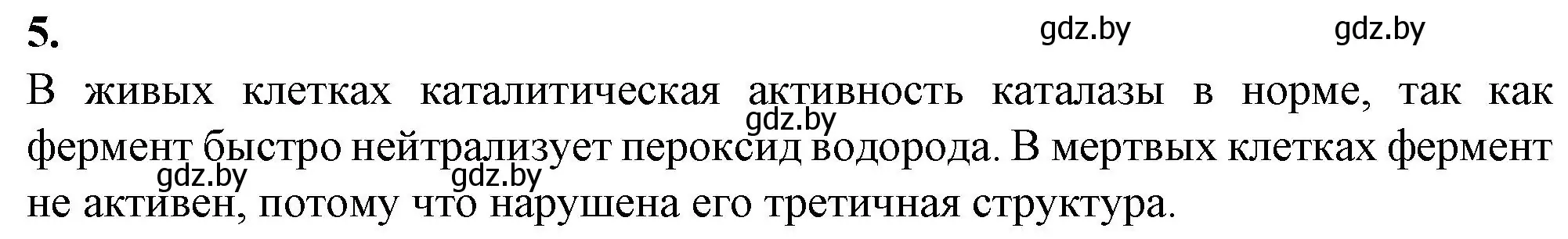 Решение номер 5 (страница 5) гдз по биологии 11 класс Хруцкая, тетрадь для практических работ