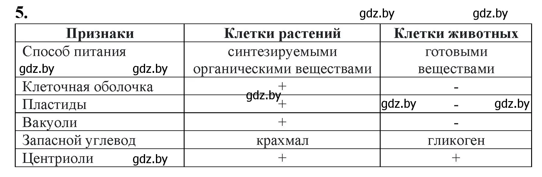 Решение номер 5 (страница 12) гдз по биологии 11 класс Хруцкая, тетрадь для практических работ