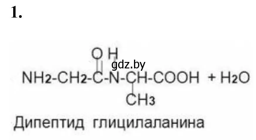 Решение номер 1 (страница 7) гдз по биологии 11 класс Хруцкая, тетрадь для практических работ