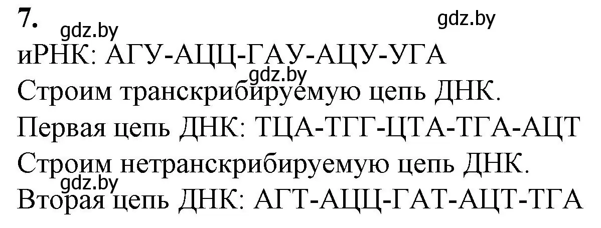 Решение номер 7 (страница 25) гдз по биологии 11 класс Хруцкая, тетрадь для практических работ