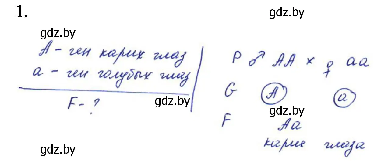 Решение номер 1 (страница 28) гдз по биологии 11 класс Хруцкая, тетрадь для практических работ