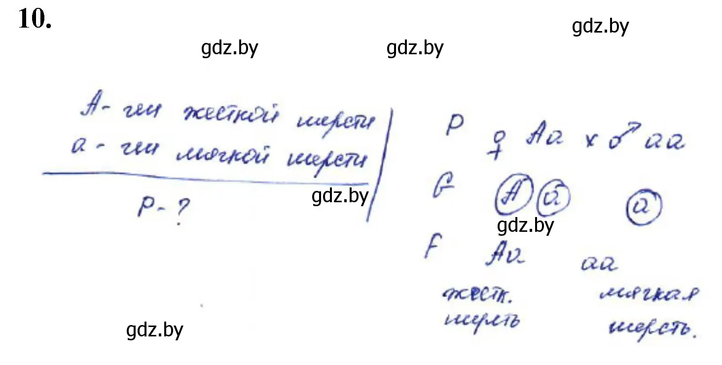 Решение номер 10 (страница 31) гдз по биологии 11 класс Хруцкая, тетрадь для практических работ