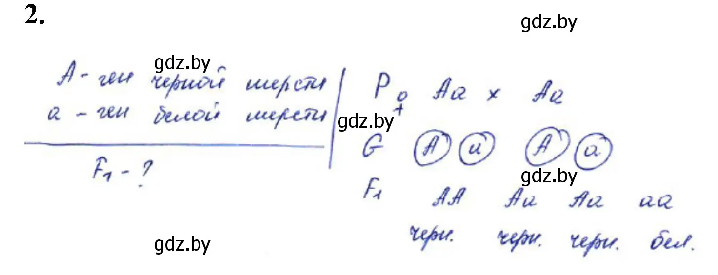 Решение номер 2 (страница 28) гдз по биологии 11 класс Хруцкая, тетрадь для практических работ