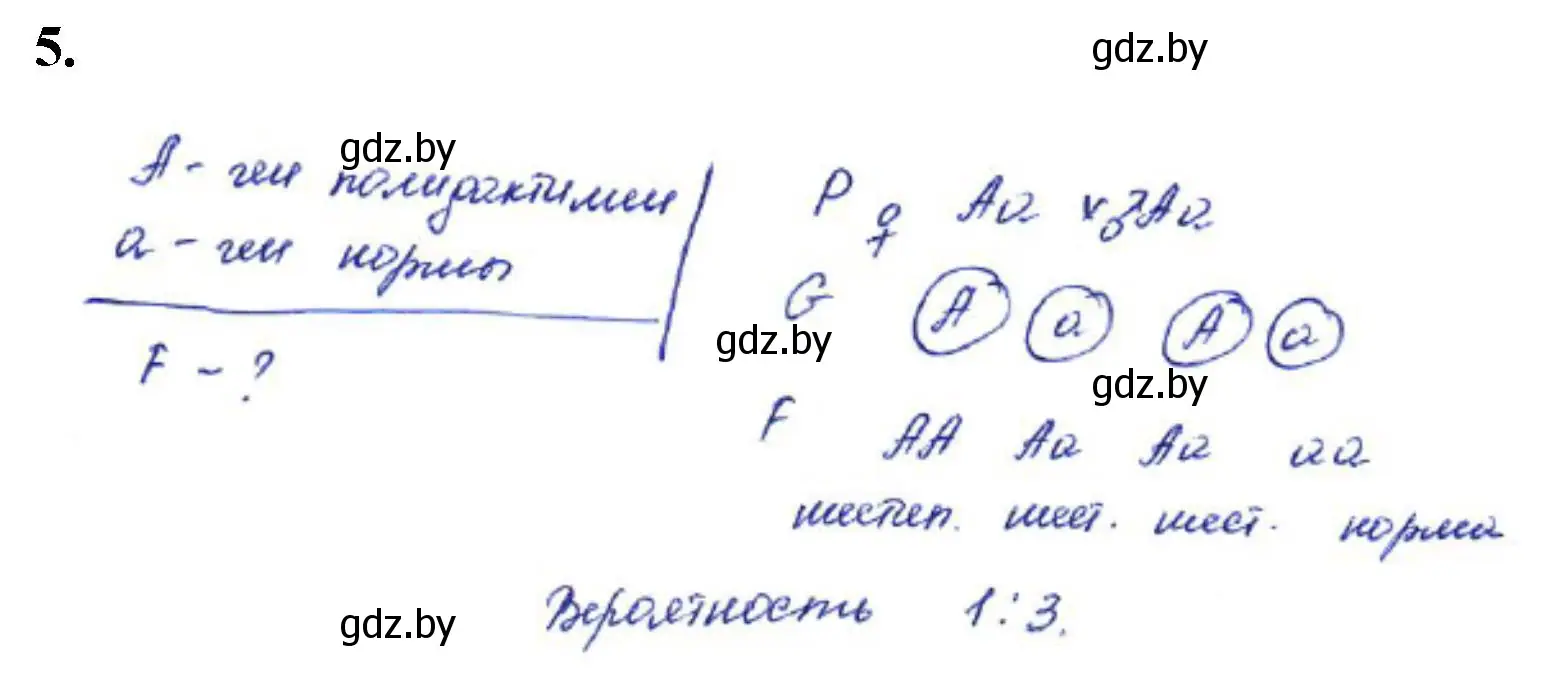 Решение номер 5 (страница 29) гдз по биологии 11 класс Хруцкая, тетрадь для практических работ