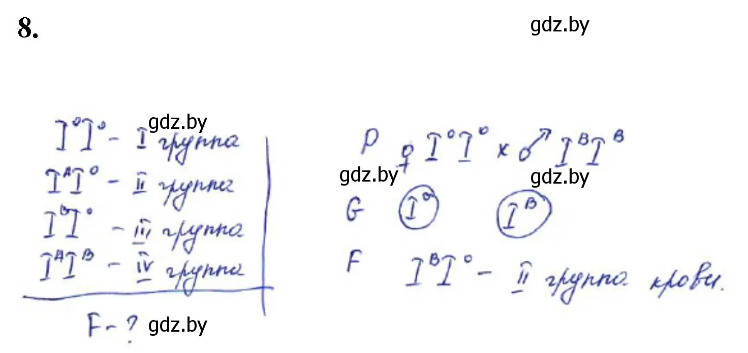 Решение номер 8 (страница 30) гдз по биологии 11 класс Хруцкая, тетрадь для практических работ