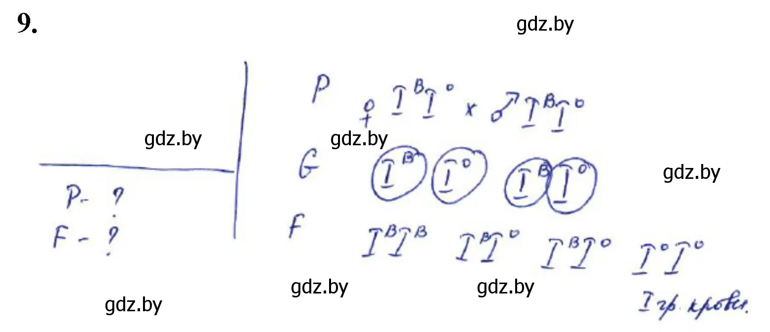 Решение номер 9 (страница 31) гдз по биологии 11 класс Хруцкая, тетрадь для практических работ