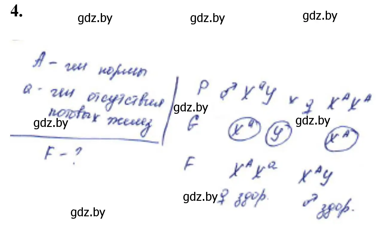 Решение номер 4 (страница 38) гдз по биологии 11 класс Хруцкая, тетрадь для практических работ