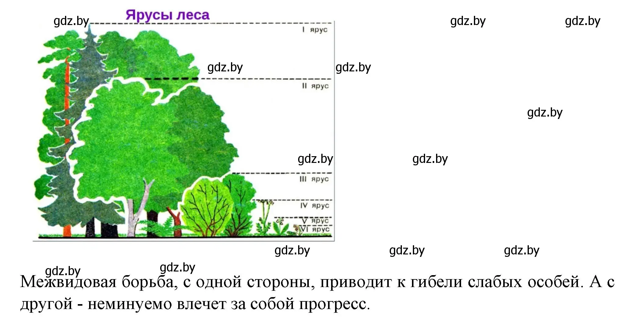 Решение номер 5 (страница 94) гдз по биологии 11 класс Хруцкая, тетрадь для лабораторных и практических работ