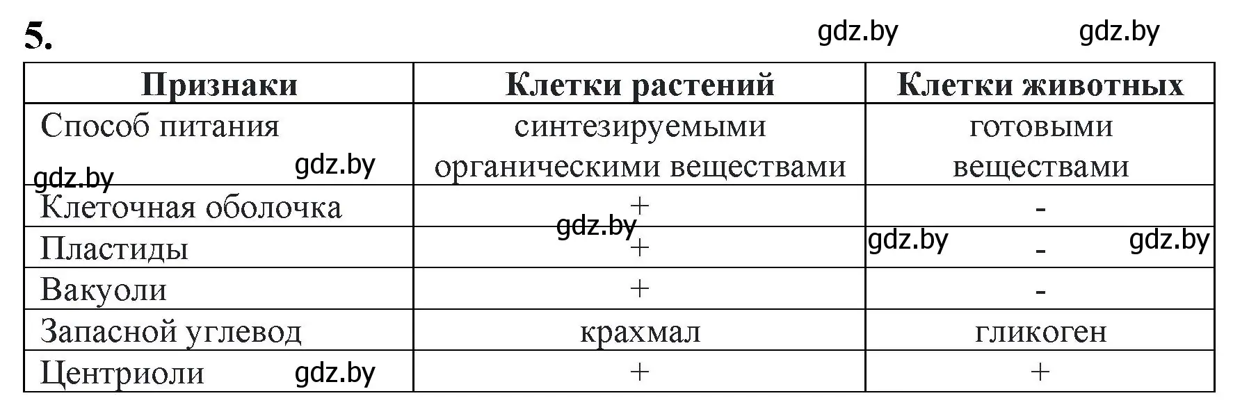 Решение номер 5 (страница 26) гдз по биологии 11 класс Хруцкая, тетрадь для лабораторных и практических работ