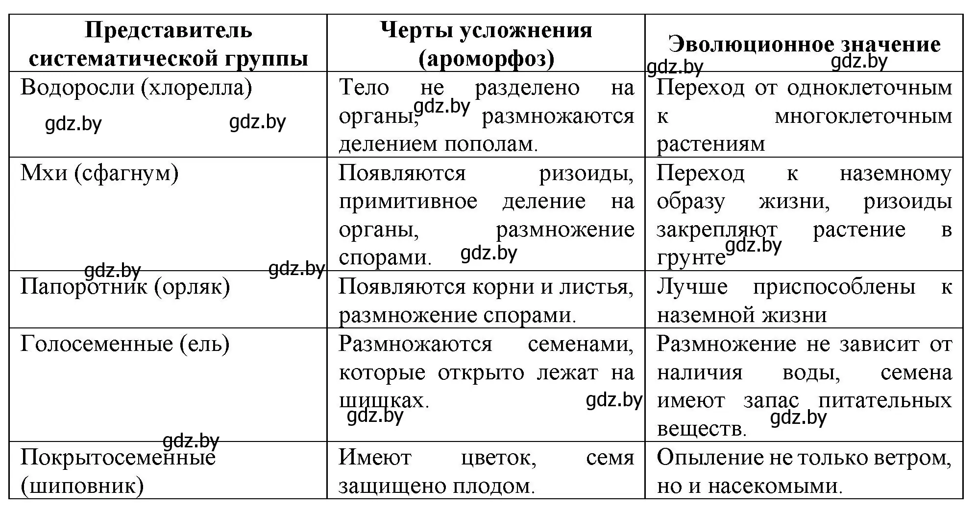 Решение номер 3 (страница 104) гдз по биологии 11 класс Хруцкая, тетрадь для лабораторных и практических работ