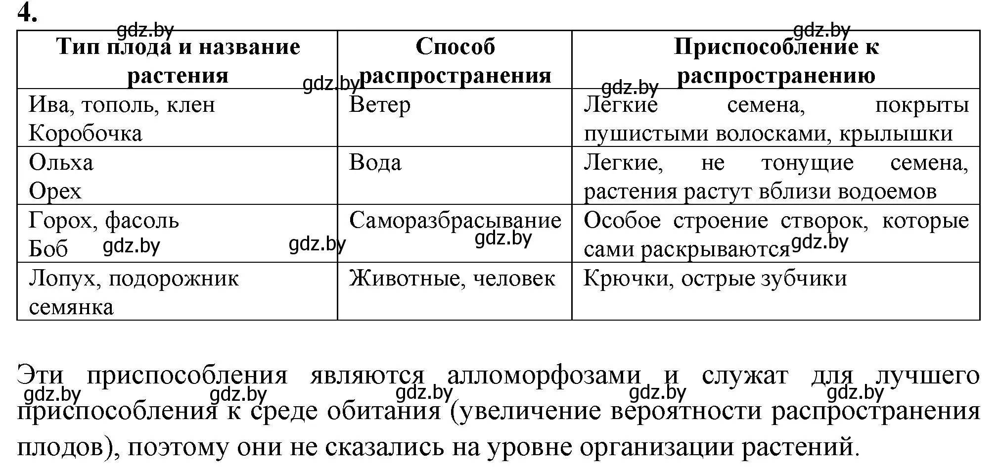 Решение номер 4 (страница 104) гдз по биологии 11 класс Хруцкая, тетрадь для лабораторных и практических работ