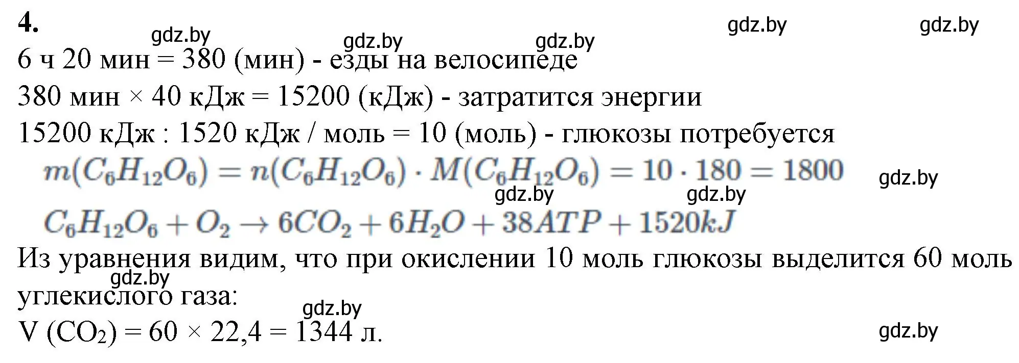 Решение номер 4 (страница 40) гдз по биологии 11 класс Хруцкая, тетрадь для лабораторных и практических работ