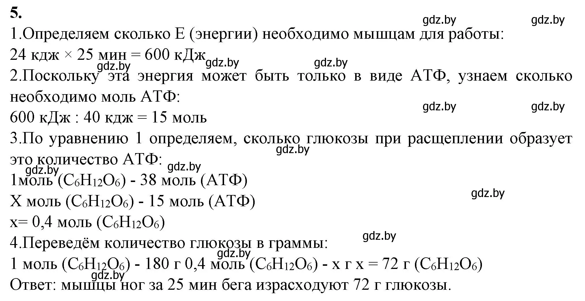 Решение номер 5 (страница 41) гдз по биологии 11 класс Хруцкая, тетрадь для лабораторных и практических работ