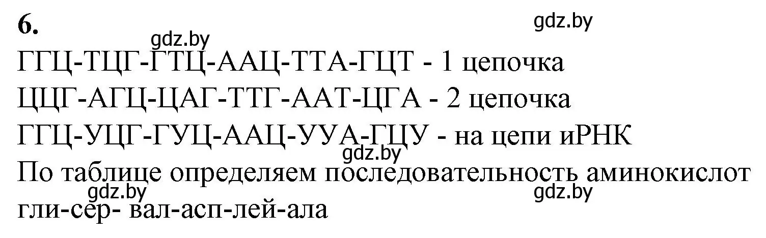 Решение номер 6 (страница 52) гдз по биологии 11 класс Хруцкая, тетрадь для лабораторных и практических работ