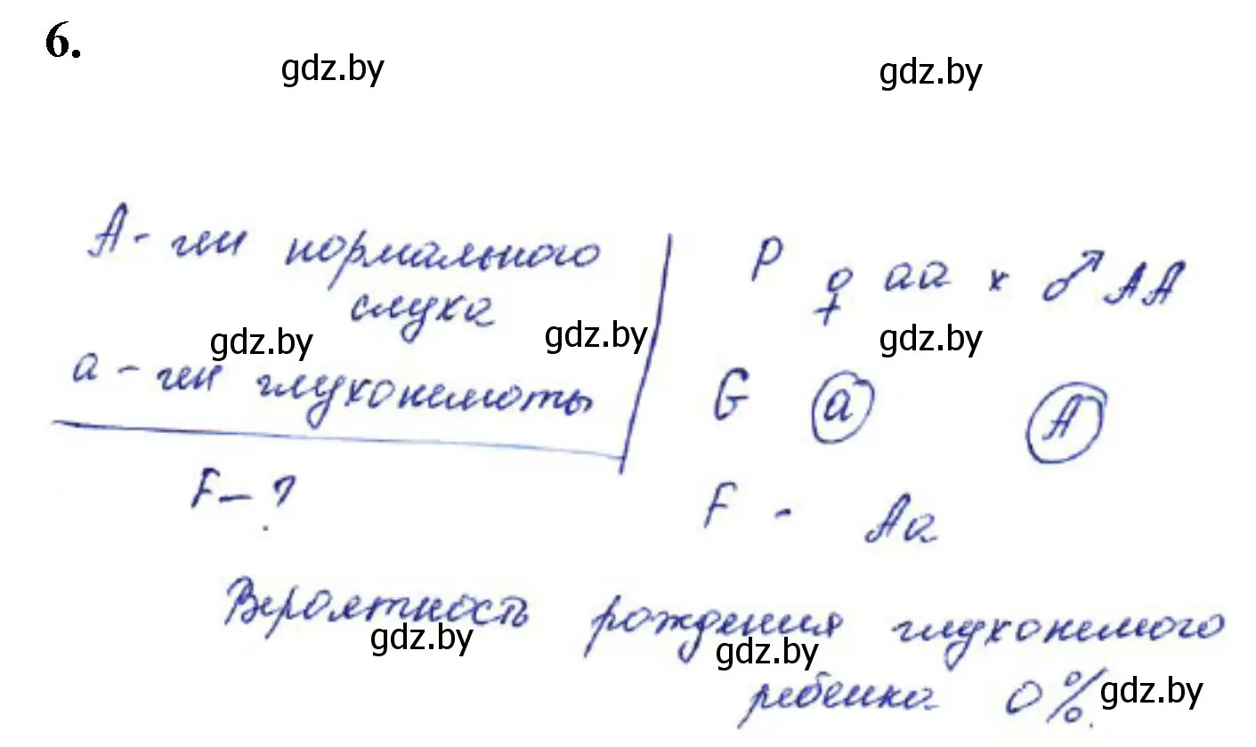 Решение номер 6 (страница 57) гдз по биологии 11 класс Хруцкая, тетрадь для лабораторных и практических работ