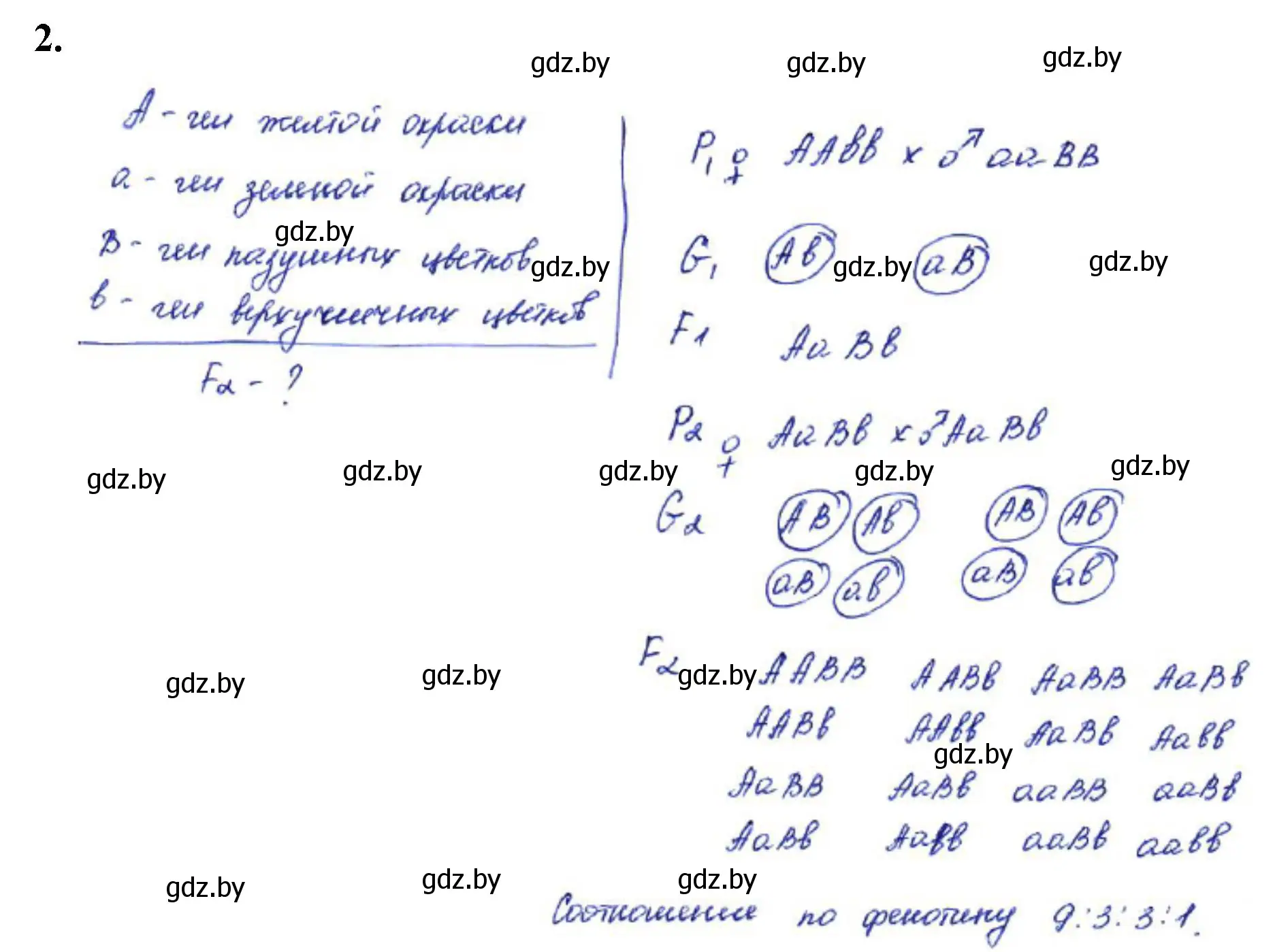 Решение номер 2 (страница 60) гдз по биологии 11 класс Хруцкая, тетрадь для лабораторных и практических работ