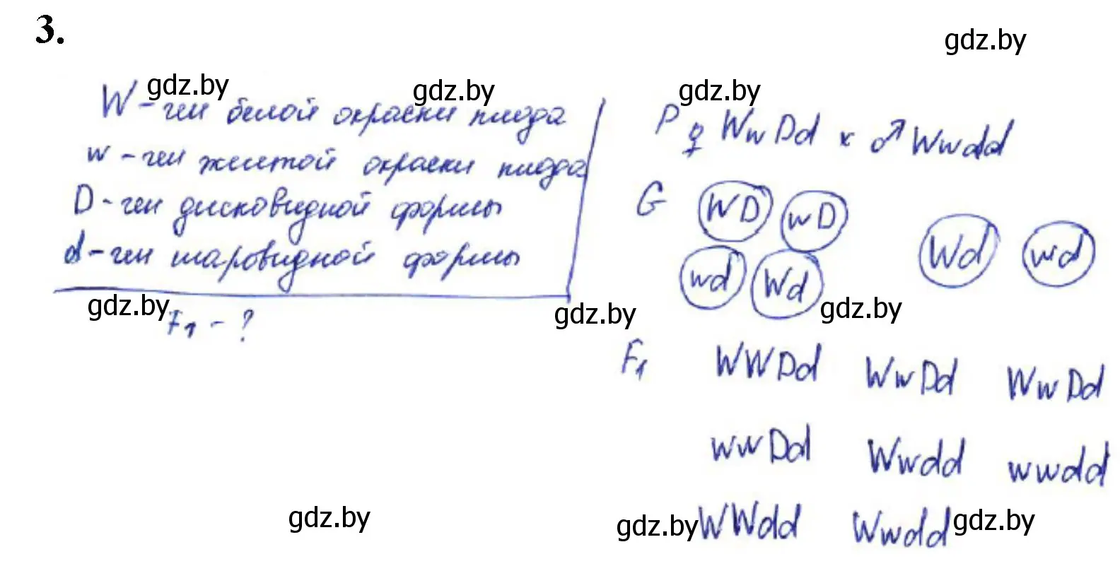 Решение номер 3 (страница 61) гдз по биологии 11 класс Хруцкая, тетрадь для лабораторных и практических работ