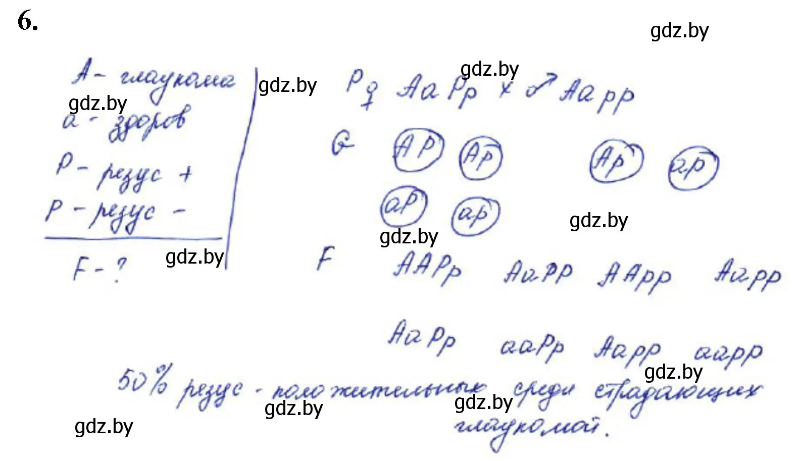 Решение номер 6 (страница 62) гдз по биологии 11 класс Хруцкая, тетрадь для лабораторных и практических работ
