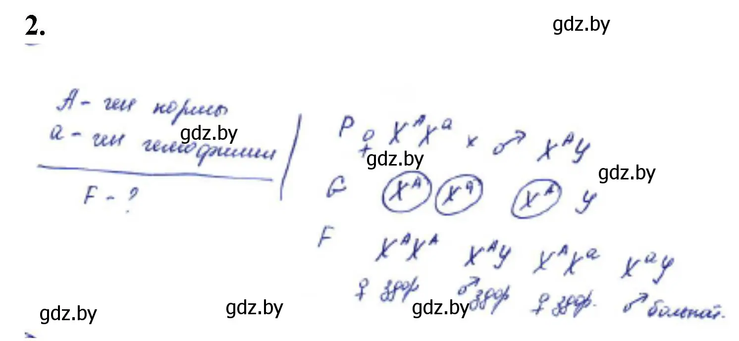 Решение номер 2 (страница 72) гдз по биологии 11 класс Хруцкая, тетрадь для лабораторных и практических работ
