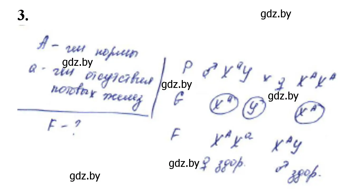 Решение номер 3 (страница 72) гдз по биологии 11 класс Хруцкая, тетрадь для лабораторных и практических работ