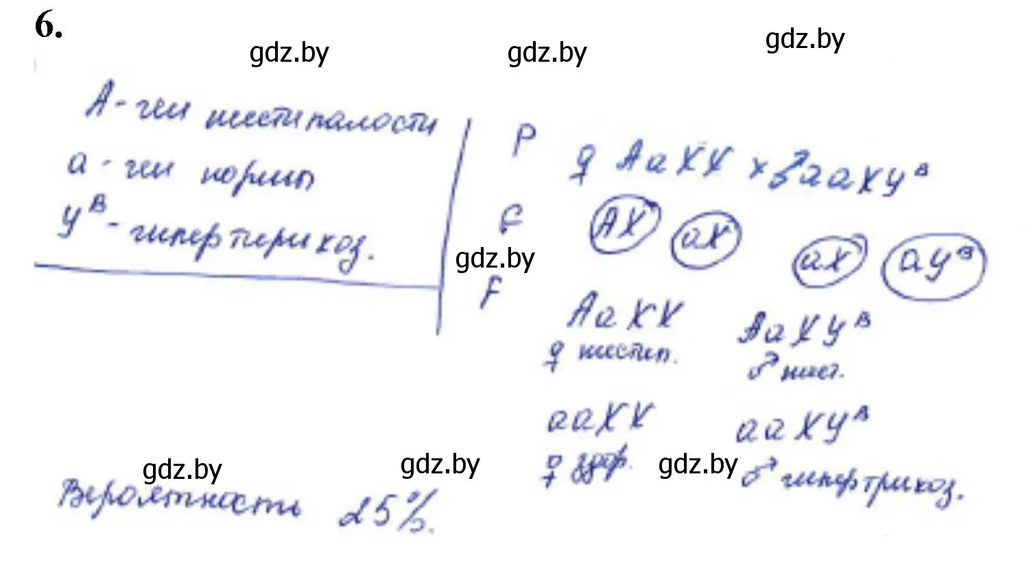 Решение номер 6 (страница 73) гдз по биологии 11 класс Хруцкая, тетрадь для лабораторных и практических работ