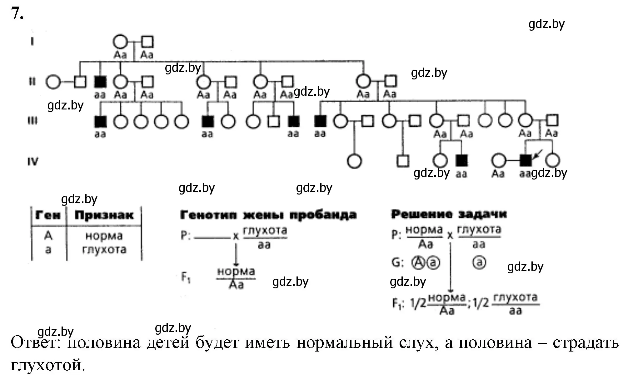 Решение номер 7 (страница 86) гдз по биологии 11 класс Хруцкая, тетрадь для лабораторных и практических работ