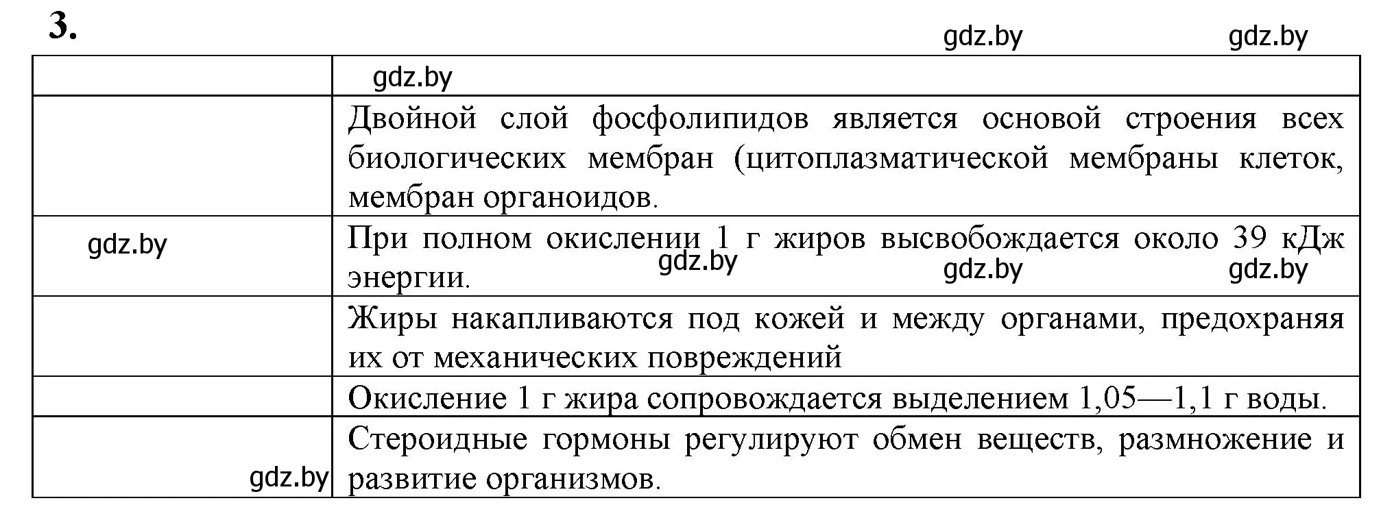 Решение номер 3 (страница 13) гдз по биологии 11 класс Хруцкая, рабочая тетрадь