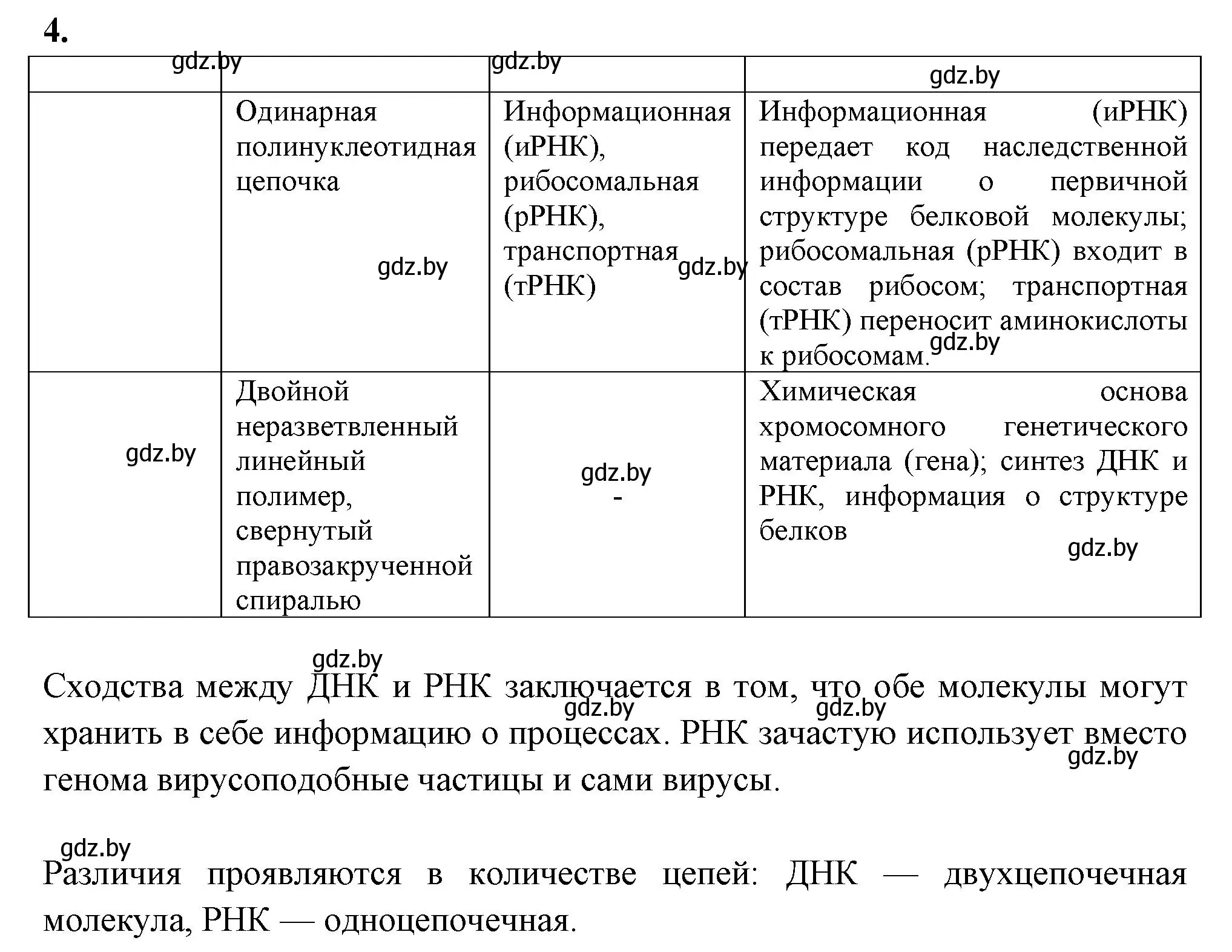 Решение номер 4 (страница 17) гдз по биологии 11 класс Хруцкая, рабочая тетрадь