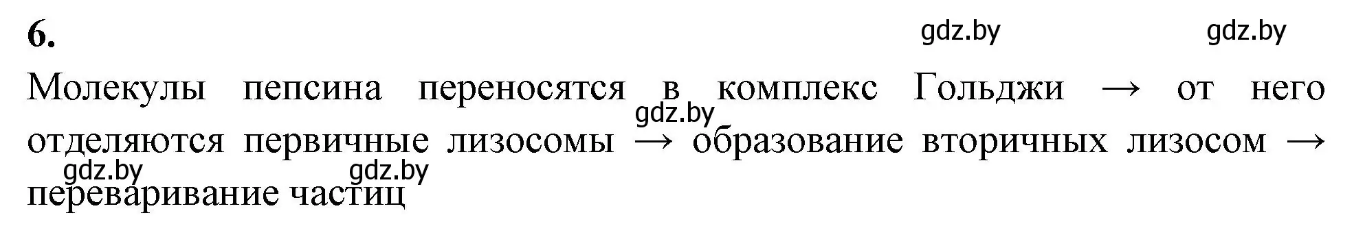 Решение номер 6 (страница 26) гдз по биологии 11 класс Хруцкая, рабочая тетрадь