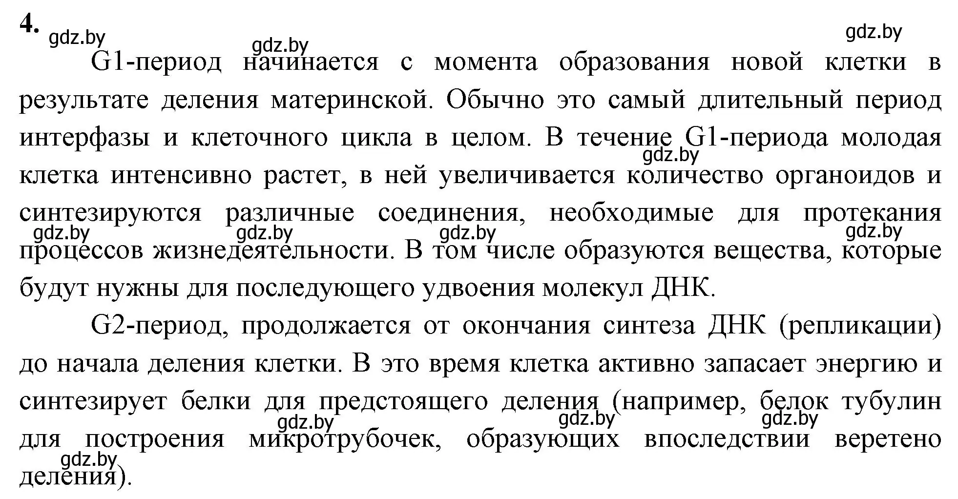 Решение номер 4 (страница 32) гдз по биологии 11 класс Хруцкая, рабочая тетрадь