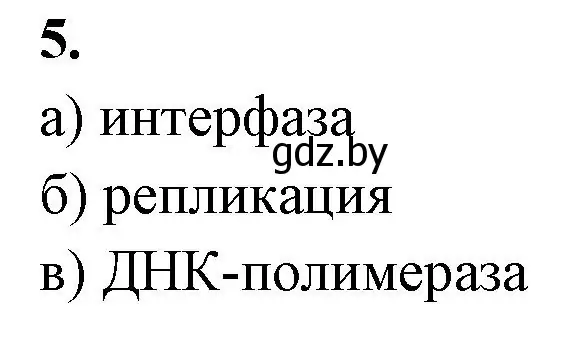 Решение номер 5 (страница 32) гдз по биологии 11 класс Хруцкая, рабочая тетрадь