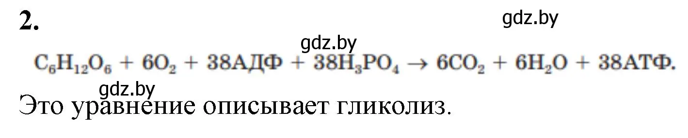 Решение номер 2 (страница 41) гдз по биологии 11 класс Хруцкая, рабочая тетрадь