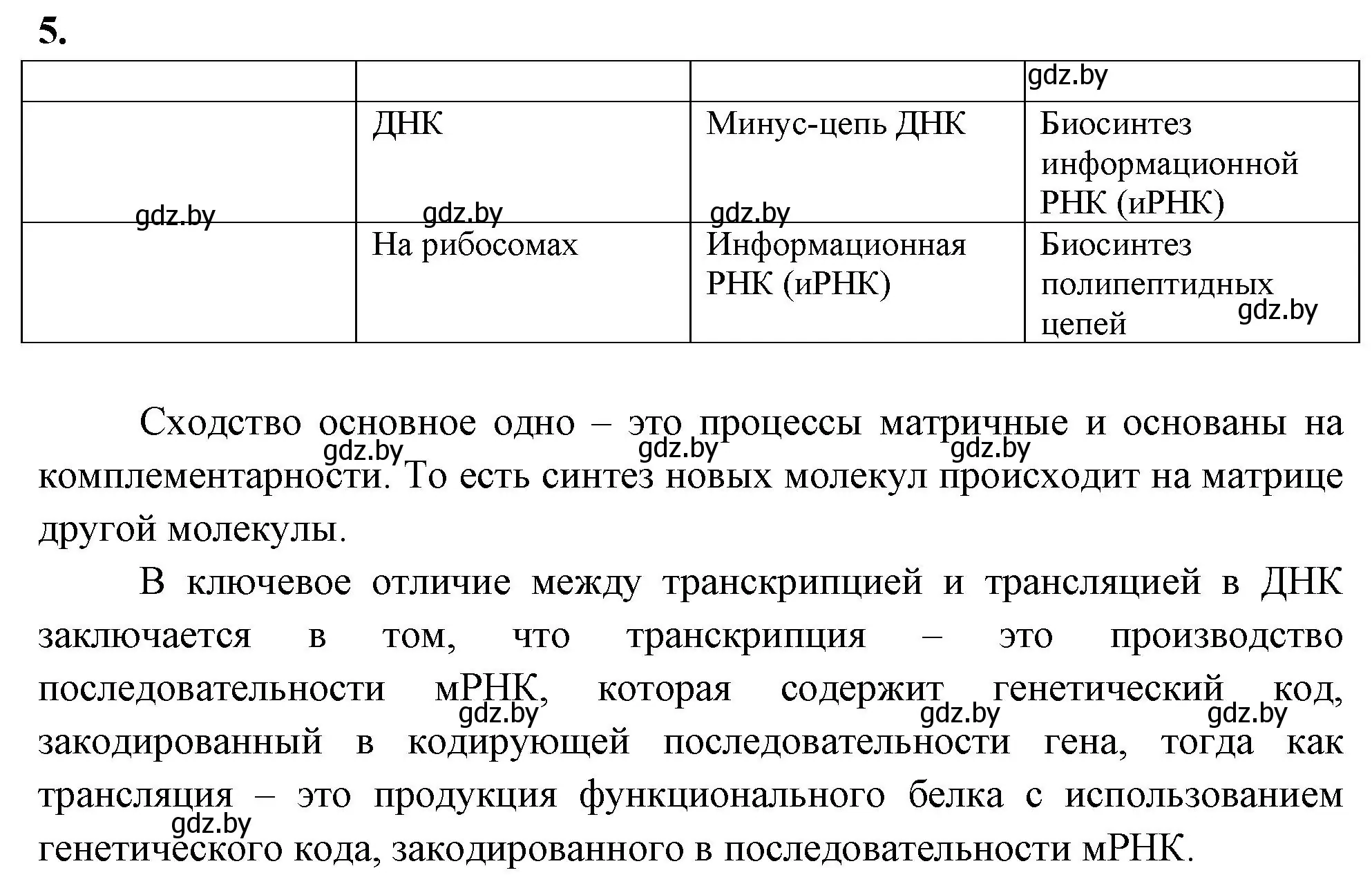 Решение номер 5 (страница 48) гдз по биологии 11 класс Хруцкая, рабочая тетрадь