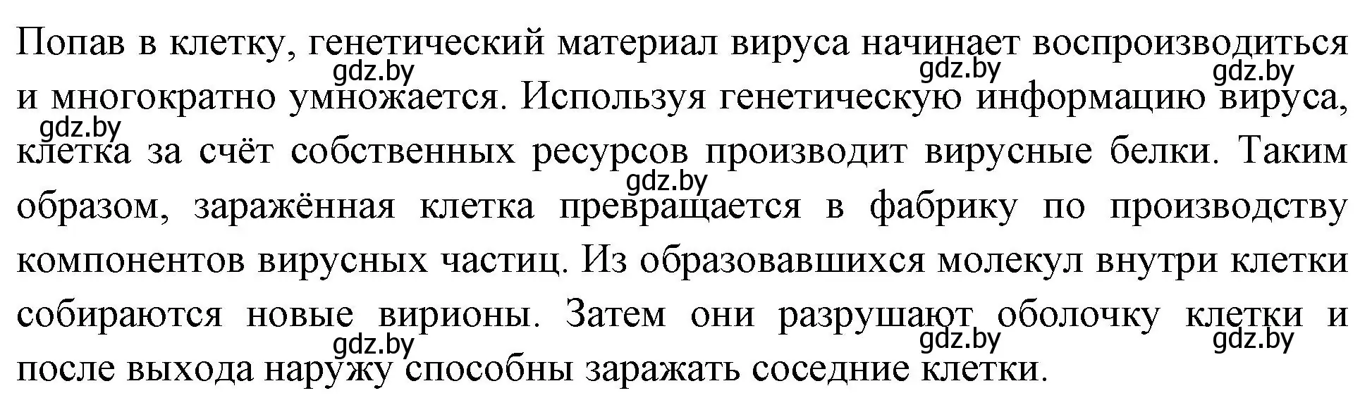 Решение номер 4 (страница 50) гдз по биологии 11 класс Хруцкая, рабочая тетрадь